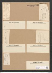 Nitzschia bilobata var. minor Grun. (de-Toni-Nr.: Genus 47, Species 2049) Zeichnungen Sammlung Grunow Nr. 4053 (NHMW-BOT-W0371884)
